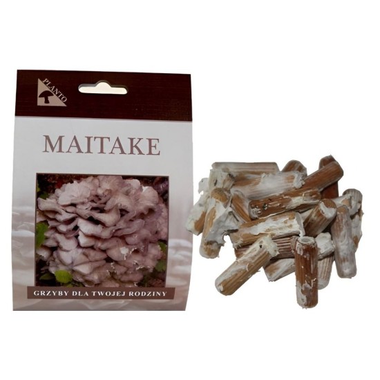 Huba maitake (Grifola frondosa) 20 ks - mycélium na kolíkoch